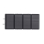 Panel-fotowoltaiczny-220W-Ecoflow-do-stacji-zasilania.jpg
