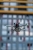 DJI MINI 3_FREEWELL_ND-5.jpg