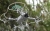 Oslona-smigiel-Sunnylife-do-DJI-Mini-3-MM3-KC559-3.jpg