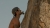 GoPro-Bite-Mount-uchwyt-do-ust-gryzak-do-kamer-sportowych-wspina.jpg