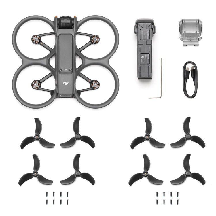 DJI Avata 2 (sam dron) 1.jpg