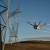 Obstacle_Sensing_Module_-_Powerline.webp