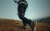 zestaw-akcesoriow-hypershell-aeroflex.webp