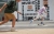 gimbal-aochuan-x2-standard.webp