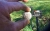 garrett-wykrywacz-metali.webp