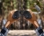 KF-CONCEPT-czarna-lornetka-KF33.095.webp