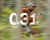 Czas-reakcji-0,31s