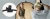 KF18.0014-klips-do-blendy-fotograficznej.webp