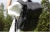 Kompaktowy monopod K&F Concept MS16 podczas transportu w terenie