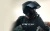 uchwy-motocyklowy-do-kamer-sportowych.webp