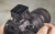 Wyzwalacz Godox X3 S TTL do Sony zamontowany na aparacie fotograficznym