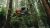 kamera-sportowa-gopro-mission-1-pro-ils-obraz.webp