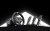 zestaw-simracing-baza-kierownica-pedaly.webp