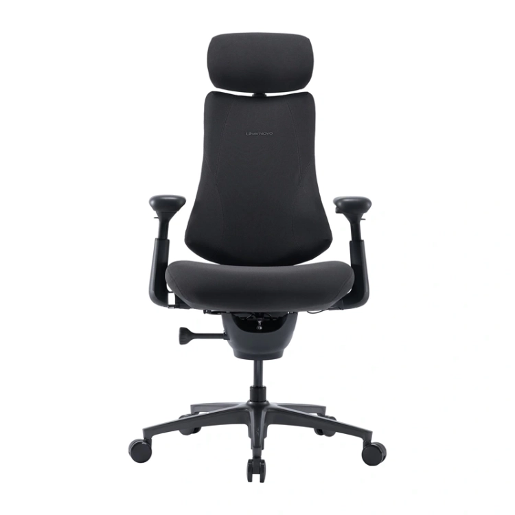 Krzesło ergonomiczne LiberNovo Omni Pro 45 cm grafitowe, widok od tyłu