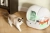 kuweta-automatyczna-purobot-max-3.webp