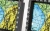 moza-racing-wyswietlacz.webp