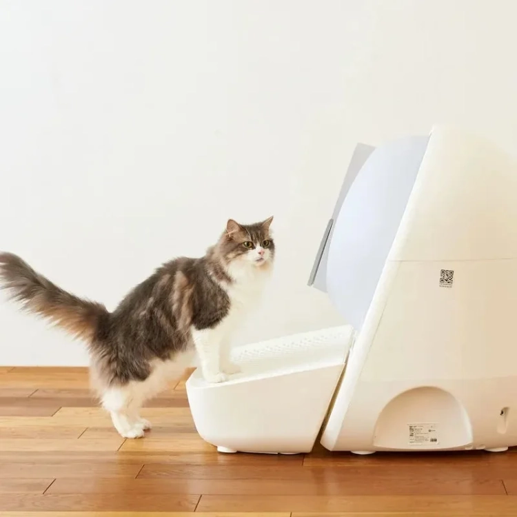 Kot wchodzący do kuli kuwety CATLINK Scooper Pro-X Luxury