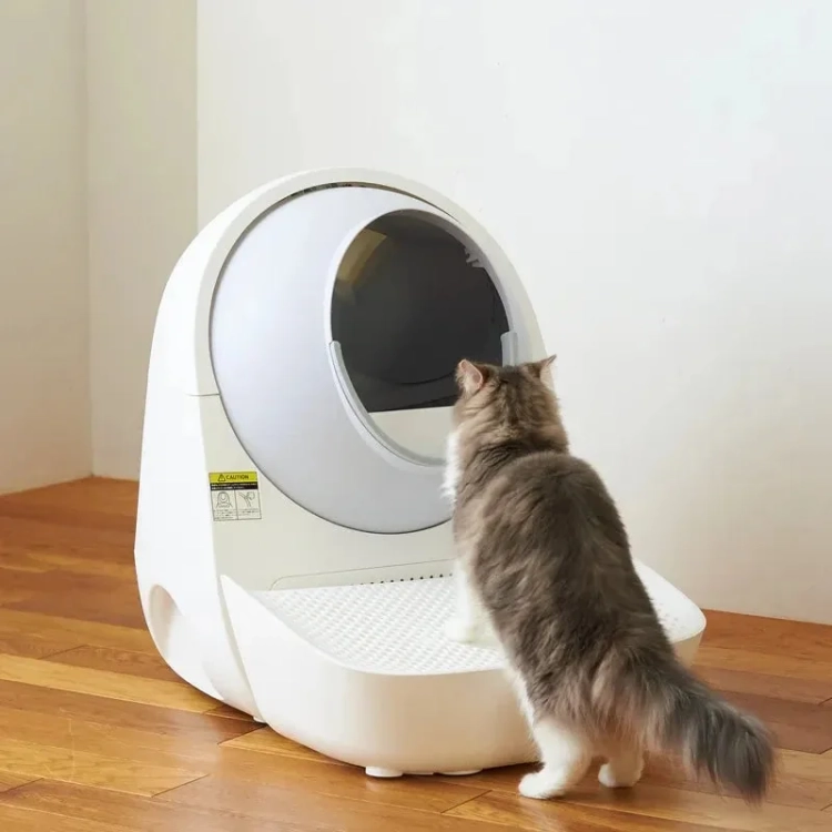 Kot zaglądający do kuwety CATLINK Scooper Pro-X Luxury z podświetleniem