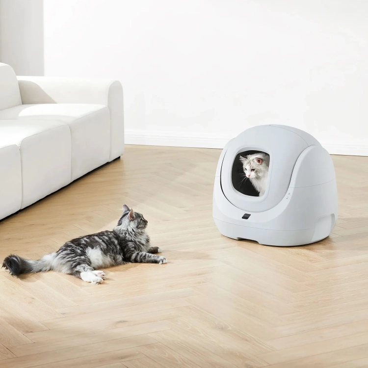 Kuweta CATLINK BayMax Lite w jasnym salonie i kot leżący na podłodze