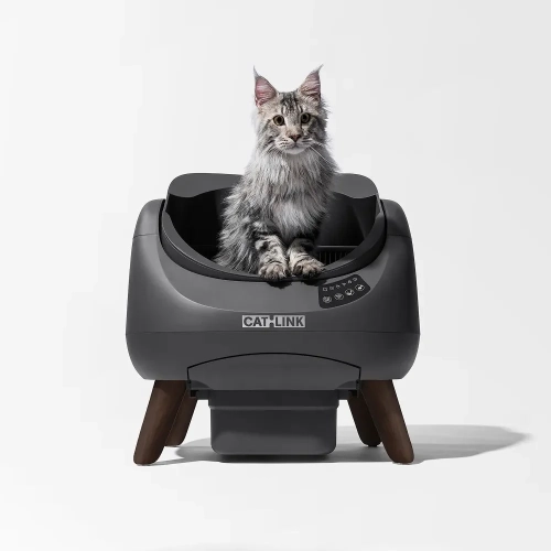 Kot siedzący w otwartej misie kuwety CATLINK Open-X szara