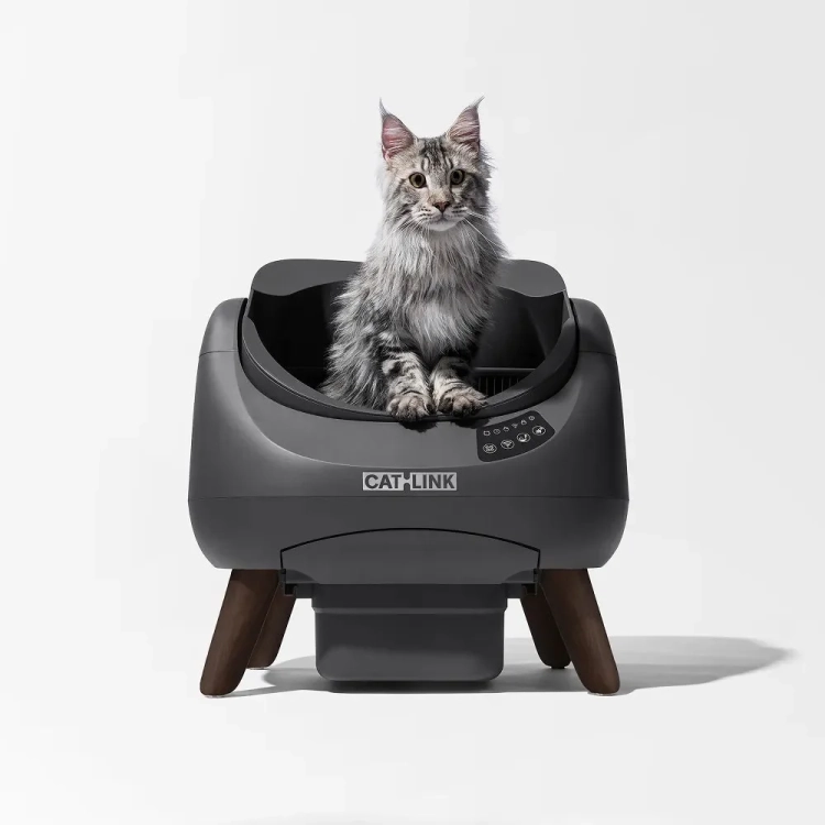 Kot siedzący w otwartej misie kuwety CATLINK Open-X szara