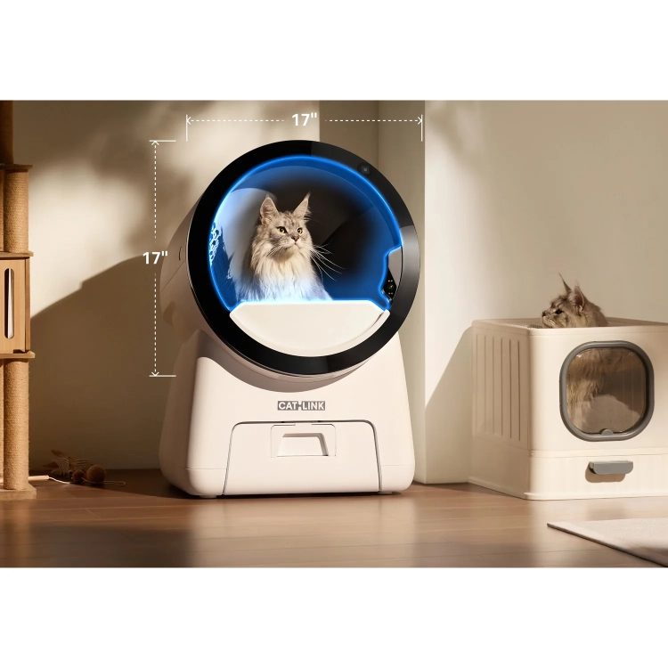 Duży kot w szerokim wejściu kuwety CATLINK Scoop Robot Pro