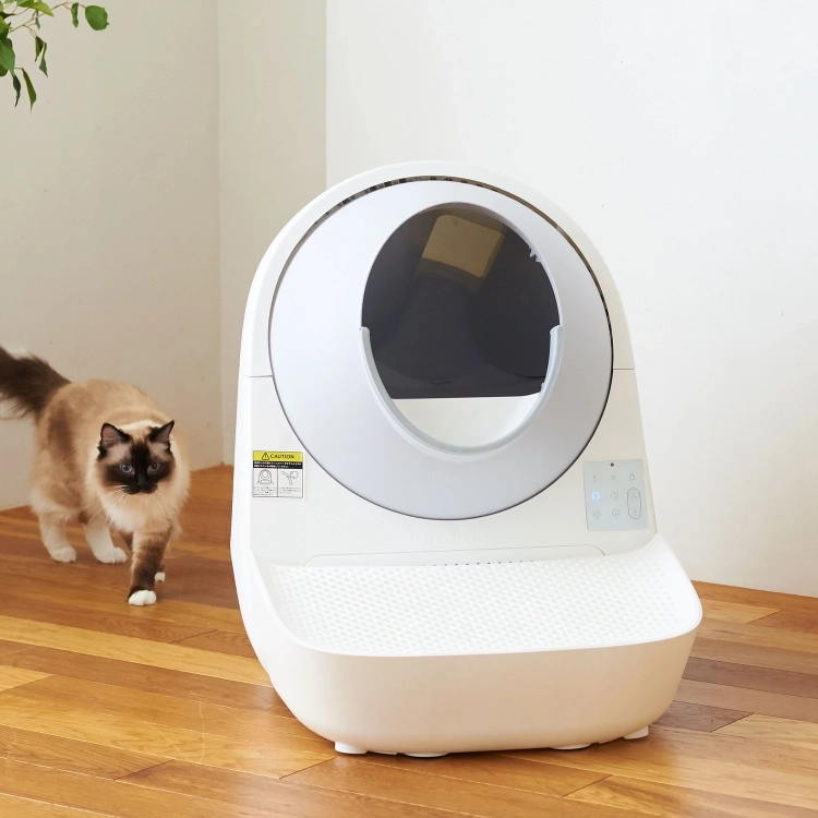 Kot przy kuwecie CATLINK ze schodkami w salonie