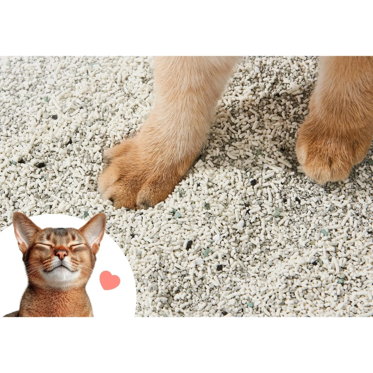 Łapy kota na drobnym żwirku CATLINK Cassava Mix