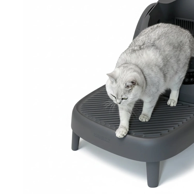 Kot schodzący po szarych schodkach CATLINK C08