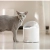 Kot stojący przy fontannie CATLINK Pure 2 UV w salonie