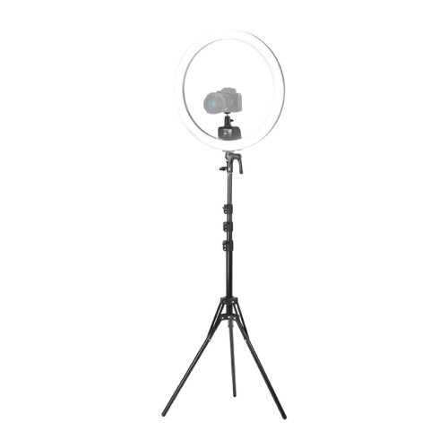 Lampa NEEWER SRP18C na statywie z aparatem
