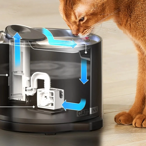 Kot pijący z czarnej fontanny CATLINK Pure 2 Lite, przekrój pokazujący obieg wody