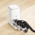 Kot jedzący z karmnika CATLINK Fresh 2 Pro z ceramiczną miską