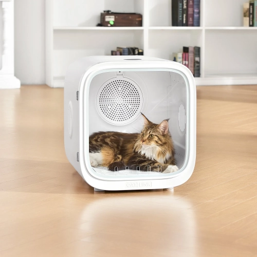 Kot leżący w komorze suszarki CATLINK Smart Pet Dryer Standard w salonie