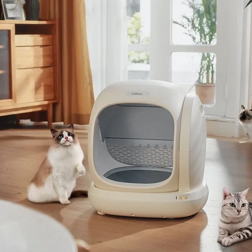 Dwa koty przy kuwecie samoczyszczącej UBPet C20 w salonie