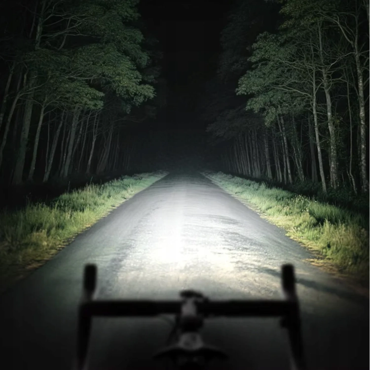 Leśna droga nocą oświetlona lampką CYCLAMI CYC1800