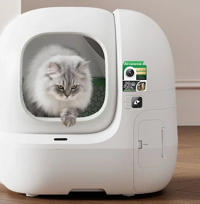 Kot wychodzący z kuwety PETKIT Purobot Max Pro 2 w salonie