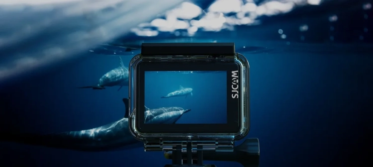 Kamera SJCAM SJ4000 Air w etui wodoodpornym pod wodą, w tle delfiny