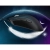 Czarna Attack Shark R1 i lekkie pióro