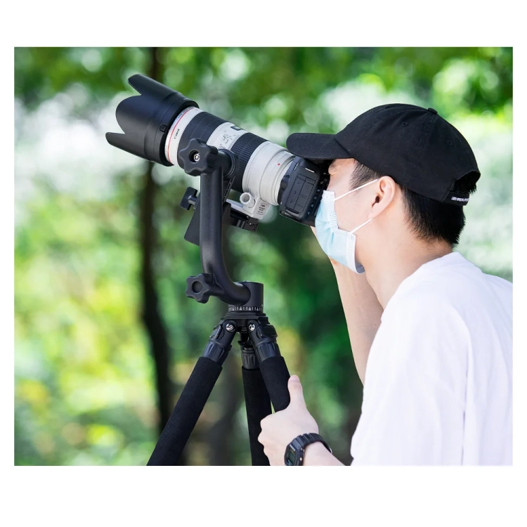 Fotograf ptaków przy głowicy gimbal K&F Concept KF31.033