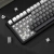Przełączniki White Jade w X85 Gradient Black