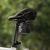 Kamera DJI Osmo Action zamocowana pod siodełkiem roweru, obiektyw skierowany do tyłu
