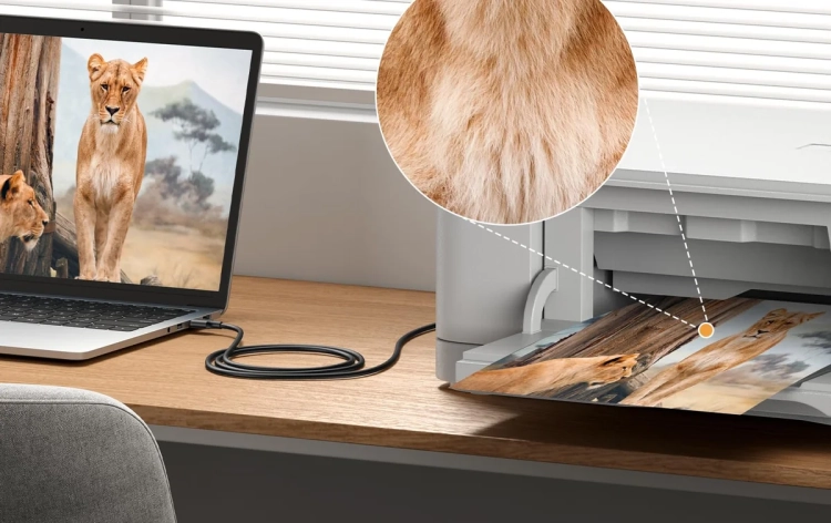 Drukarka drukuje zdjęcie z laptopa przez kabel UGREEN US135