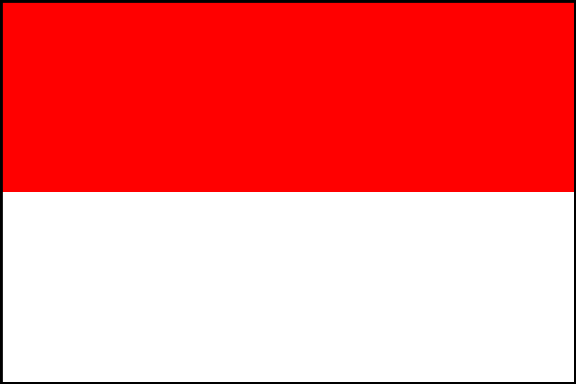 indonezja flaga