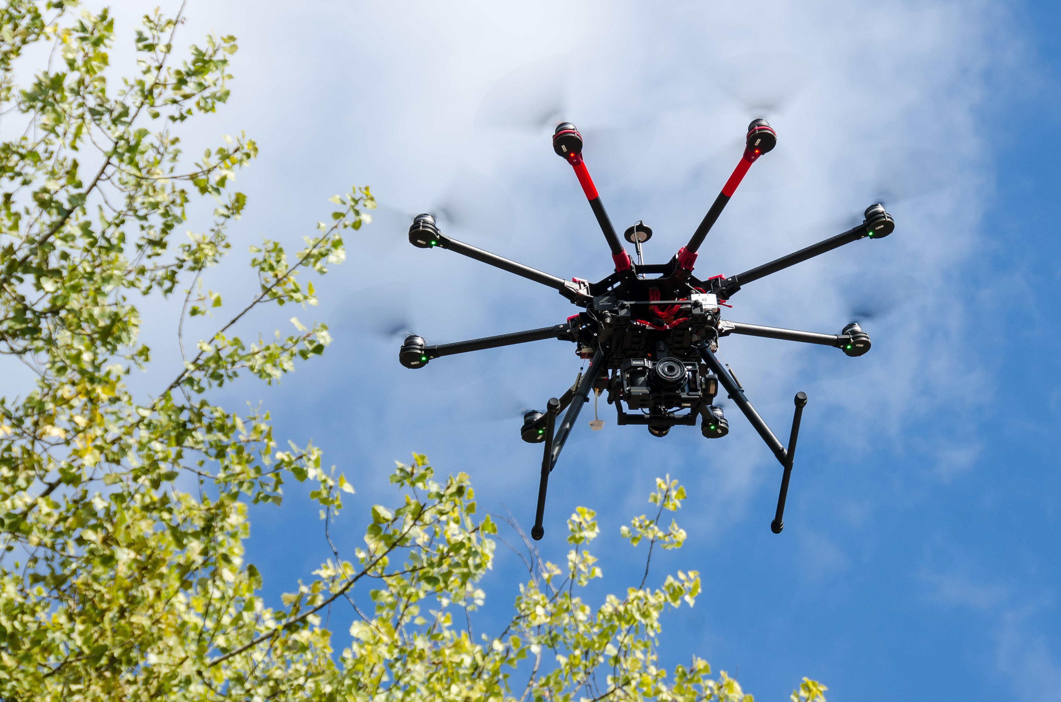 dji
