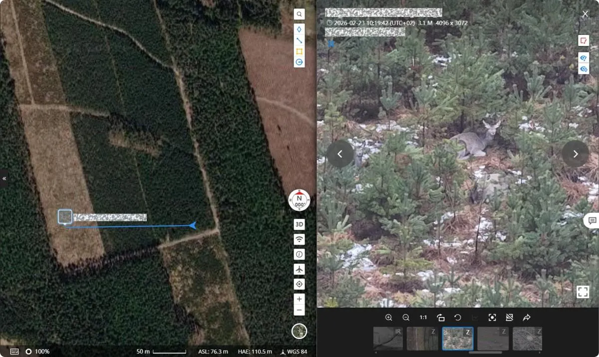 DJI FlightHub 2 - analiza przestrzenna obserwacji zwierzyny