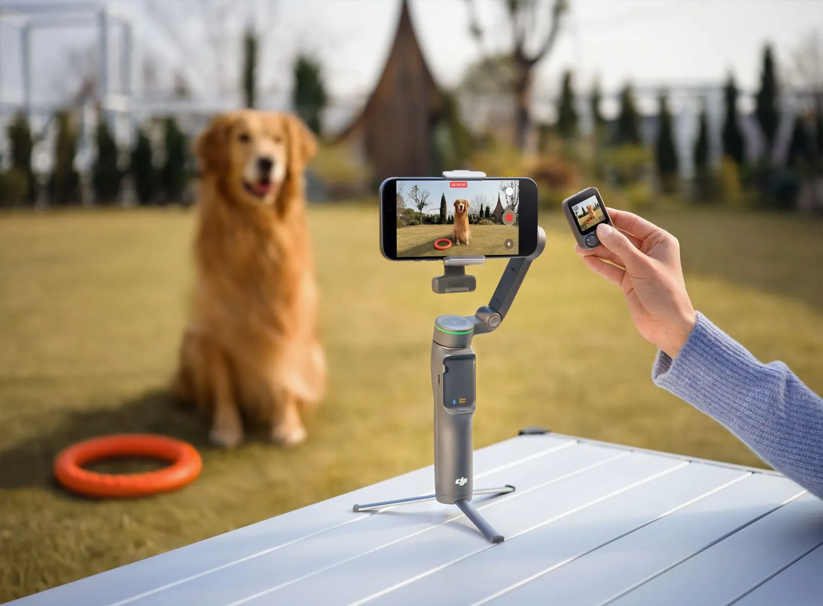 Osmo FrameTap w DJI Osmo Mobile 8P – odłączany kontroler z ekranem do zdalnego kadrowania
