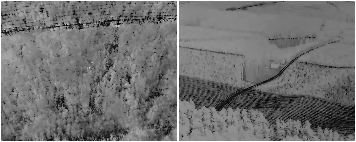 Termowizja DJI Matrice 4T podczas inwentaryzacji zwierzyny