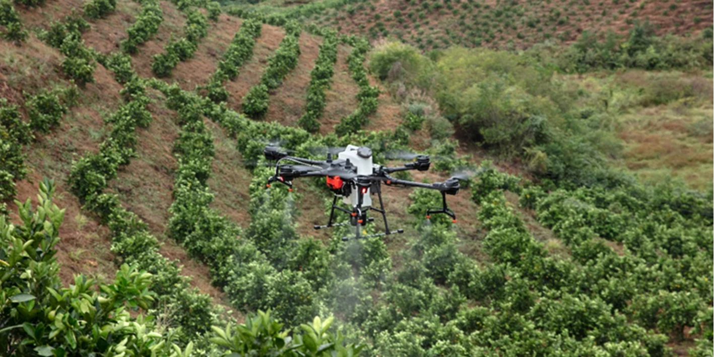 Dron DJI Agras wykorzystywany do oprysku w gospodarstwie rolnym