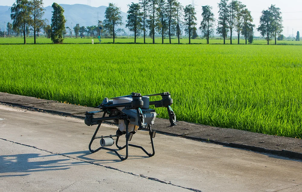 DJI Agras T25P na drodze obok pola – przygotowanie do zabiegu oprysku i logistyka pracy.